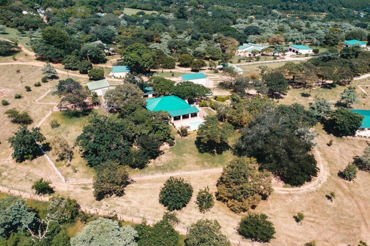 Bergdale Cottages Hazyview Εξωτερικό φωτογραφία